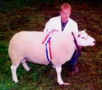 Mouton